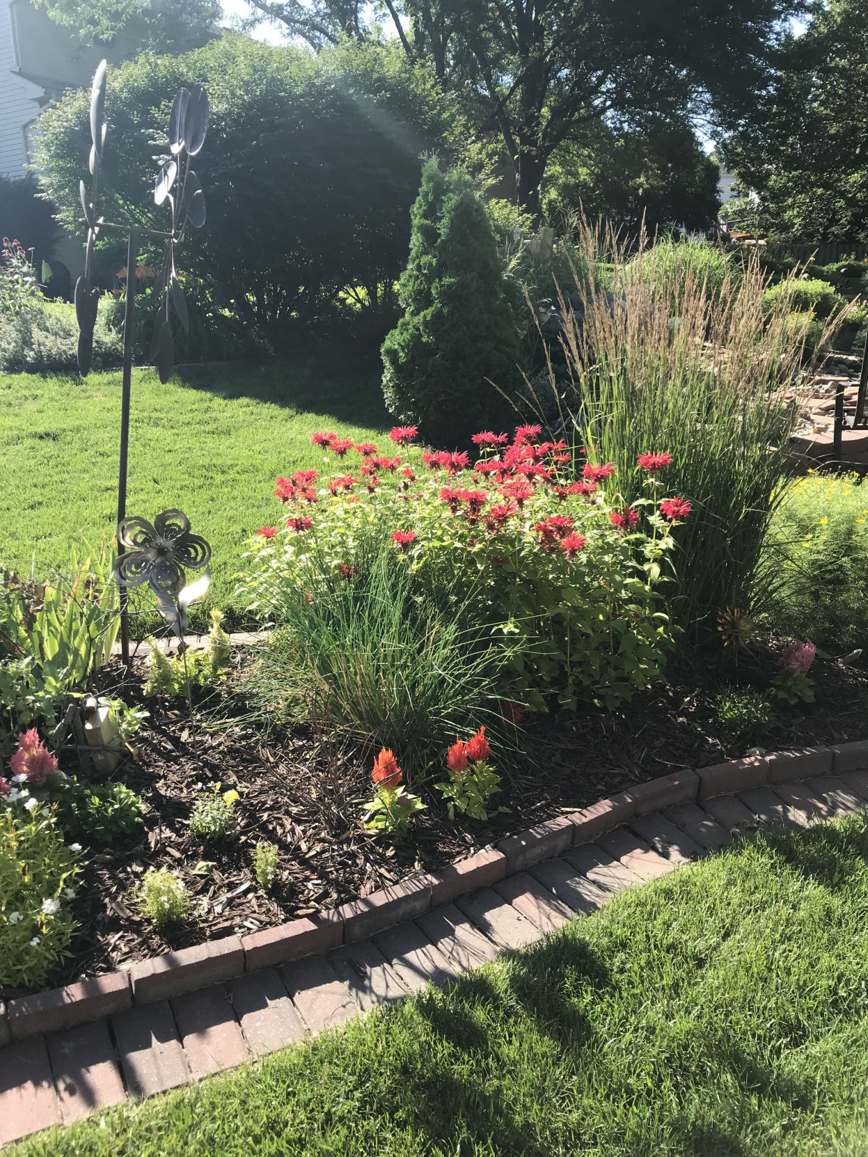 20190607_liv_marjiecolumn6